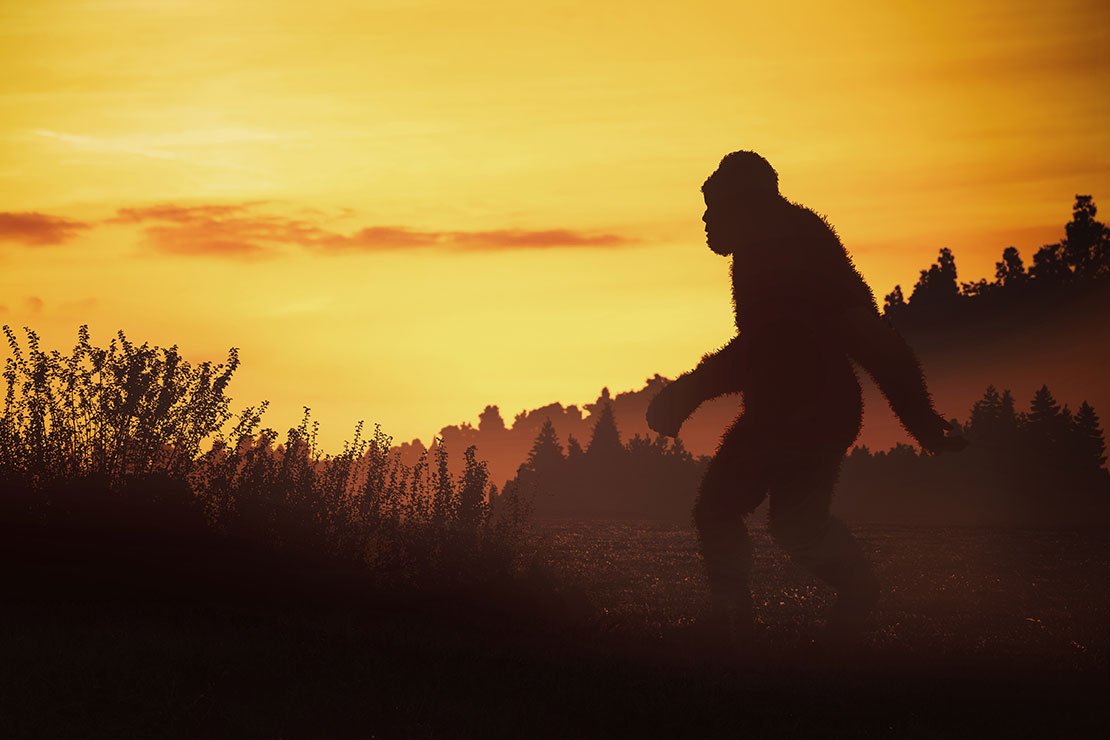 Drunk Big Foot Rampaging Inside Pharmacy.